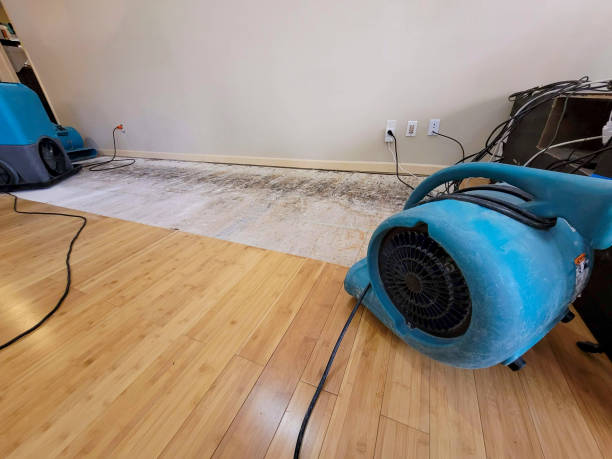 Professional Sewage Cleanup technician working in Amenia, ND